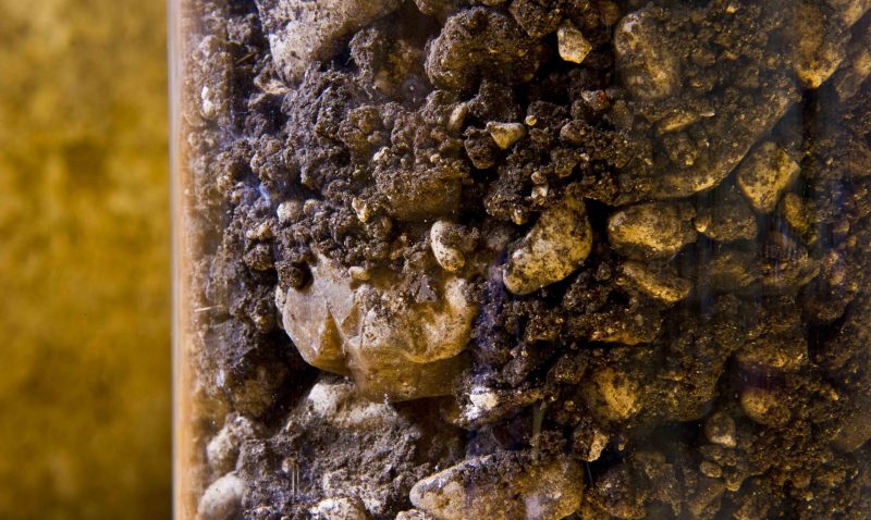 frappato_terra_nera_con_ciottoli_bianchi frappato_terra_nera_con_ciottoli_bianchi